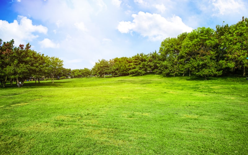 آیا از شرایط خرید و فروش ویلا در شمال خبر دارید؟