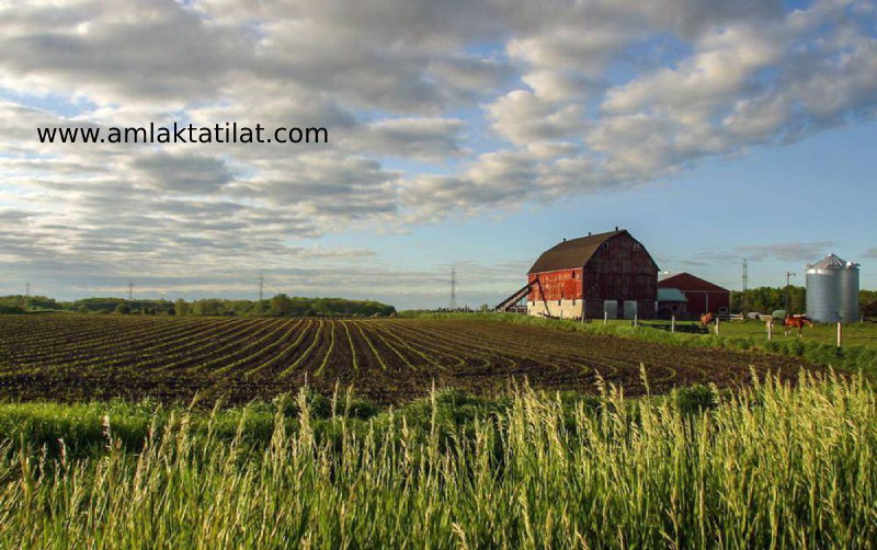 بافت باغی چیست و راهکارهای که برای ساخت ویلا باید بدانید!