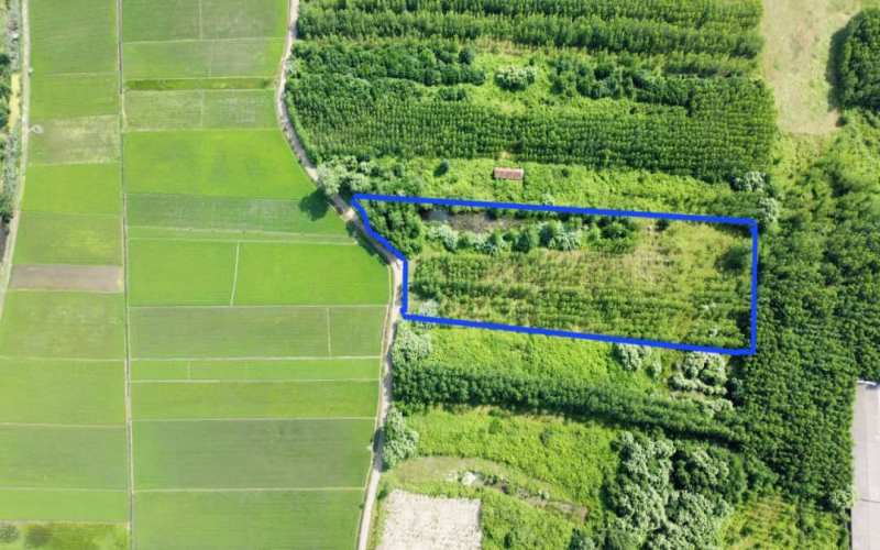 مزایا و معایب خرید زمین در شمال| باید ها و نباید ها