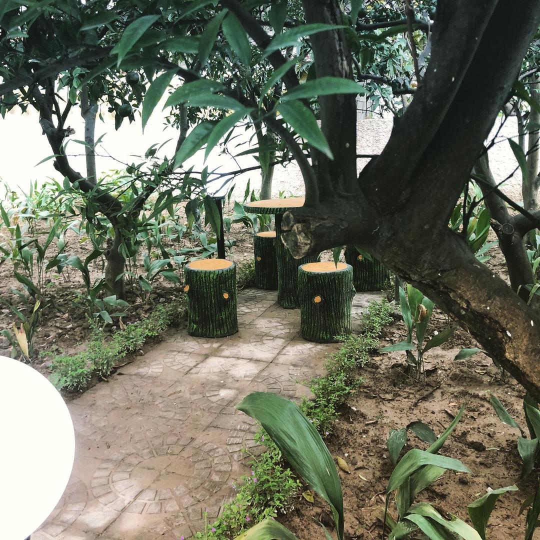 ویلا باغ ۳۳۰ متری مزگاه