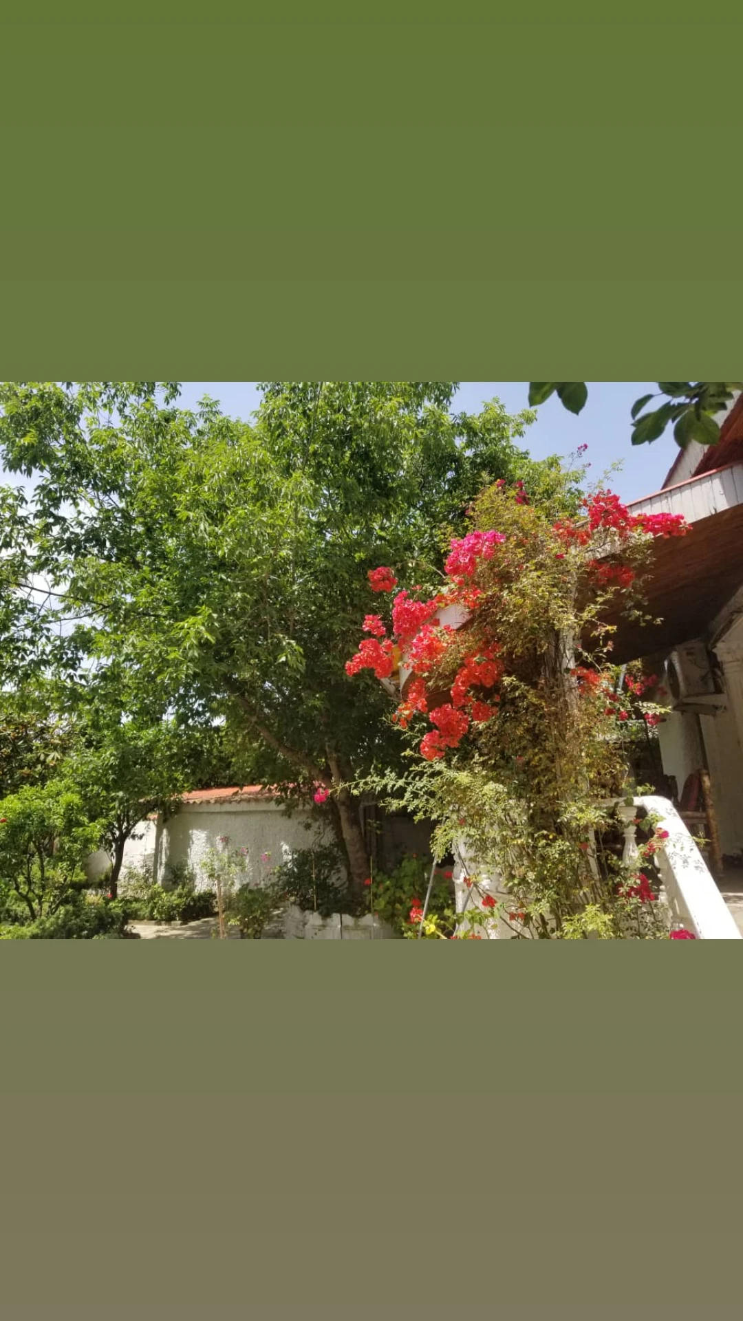 ویلای560 ساحلی شهرکی خوش قیمت منطقه چلندر