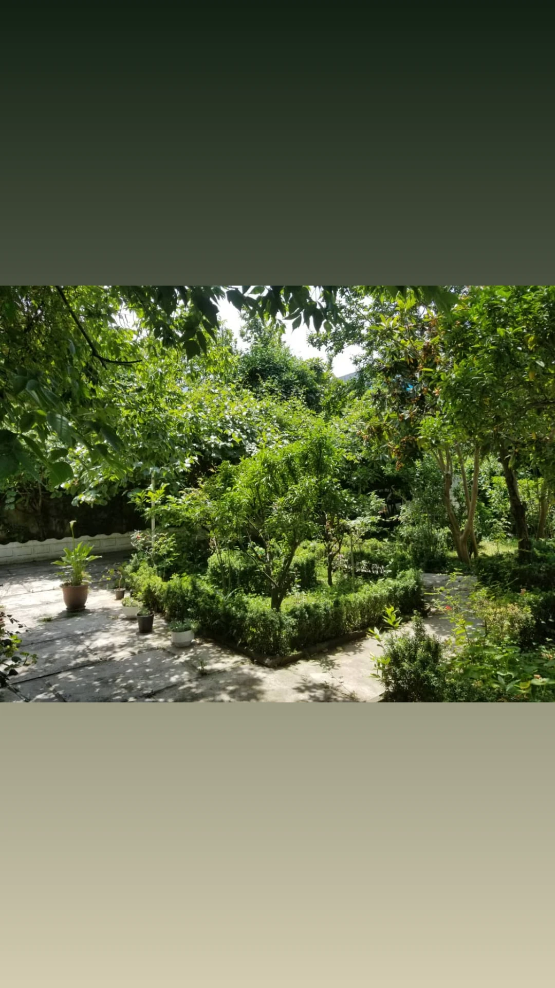 ویلای560 ساحلی شهرکی خوش قیمت منطقه چلندر