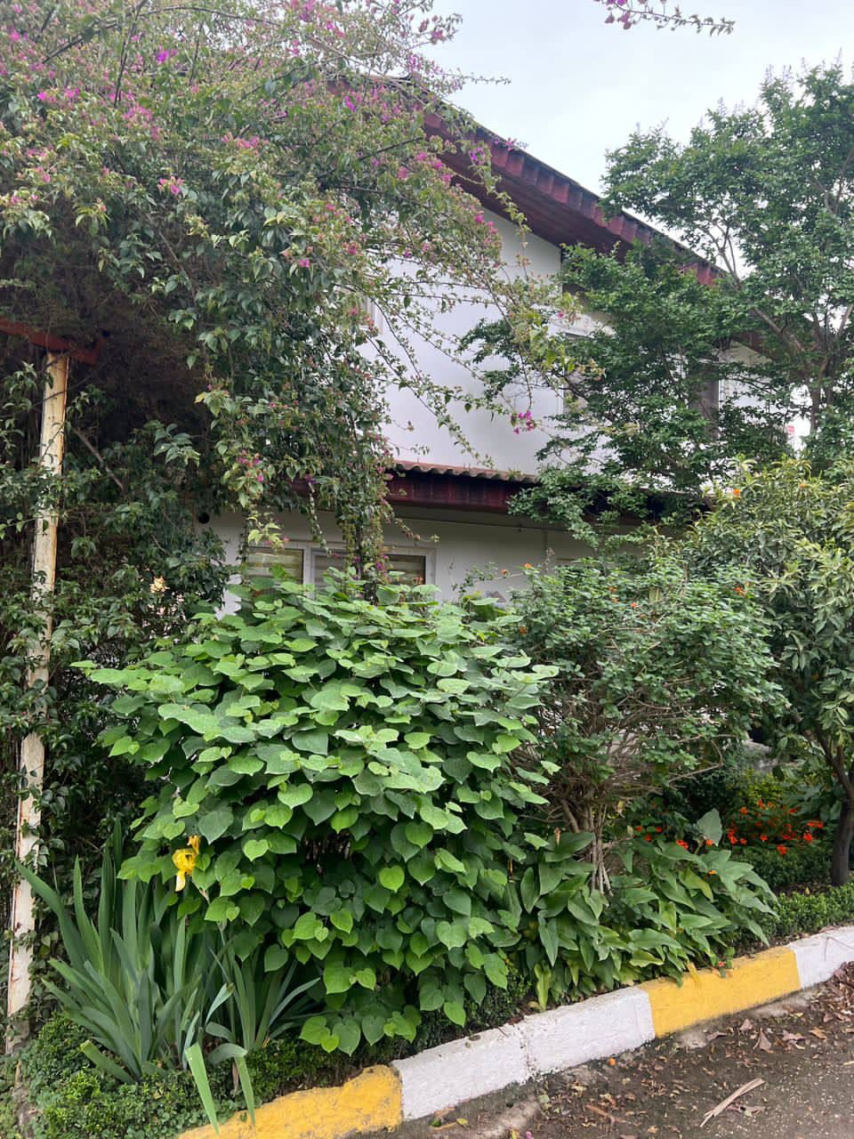 ویلای 600 متری دوبلکس ساحلی نوشهر