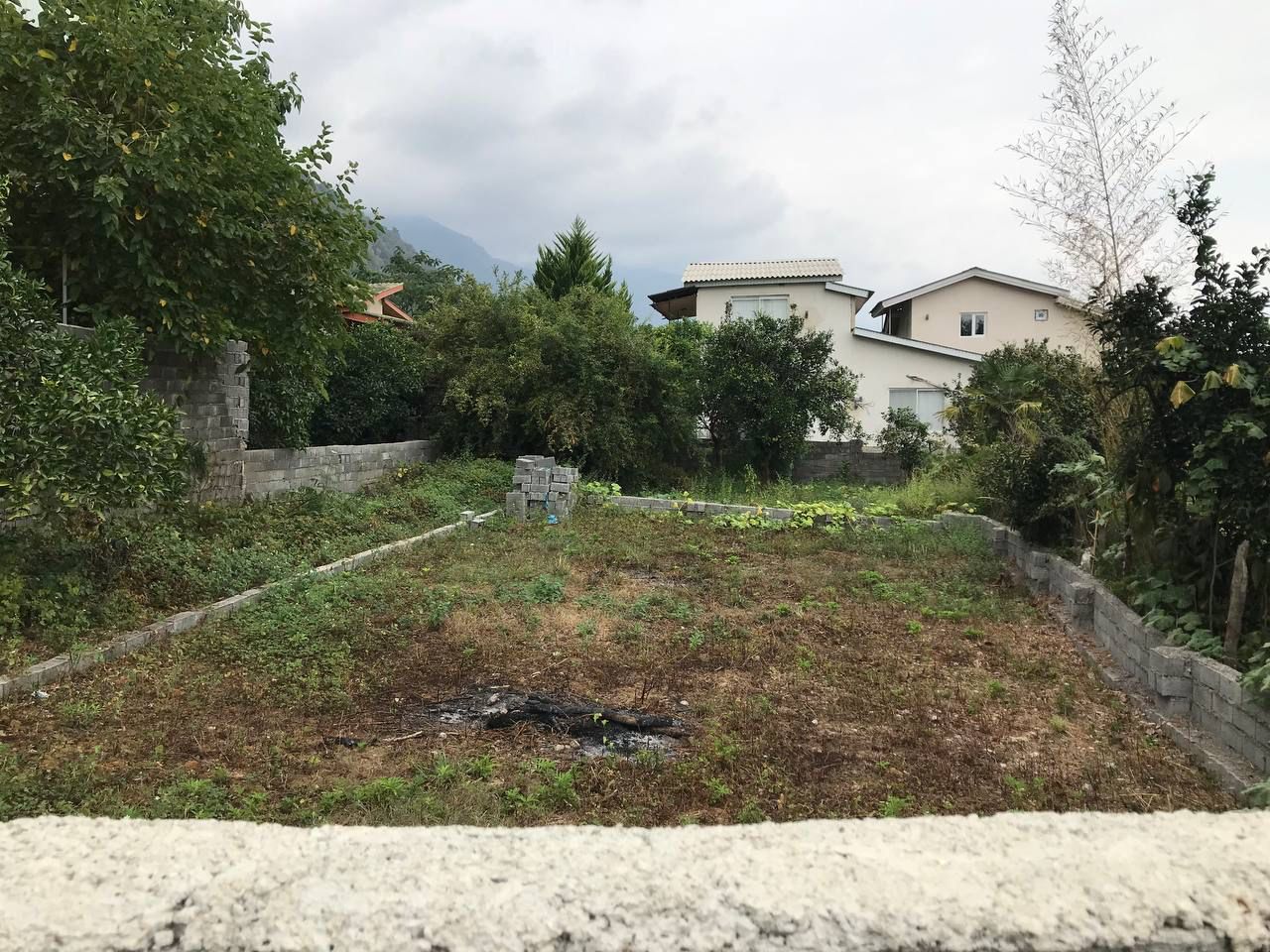 200 متر زمین جنگلی خوش قواره سنسگرا نوشهر