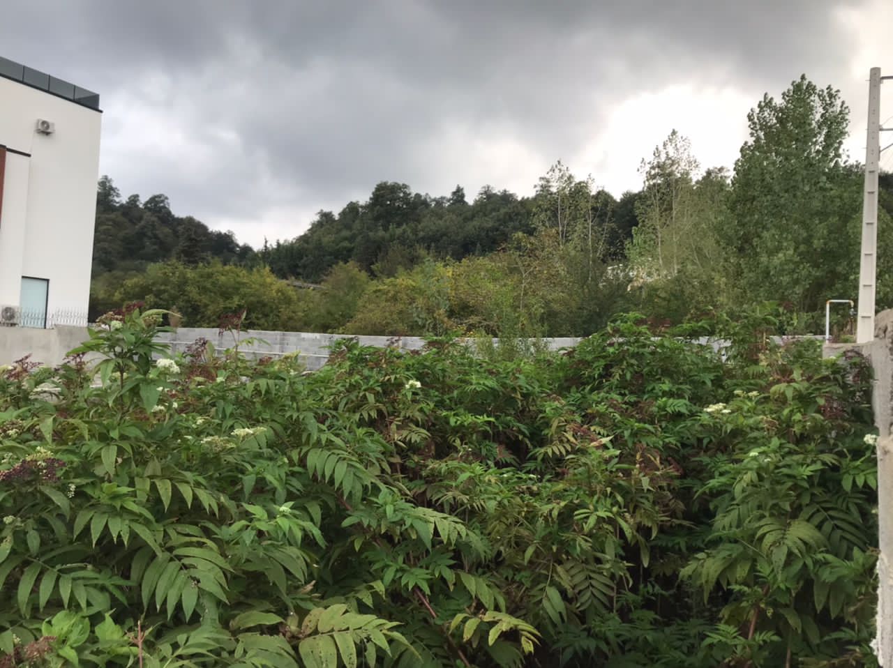 دو قواره  زمین 280 متری لوکیشن عالی دریا