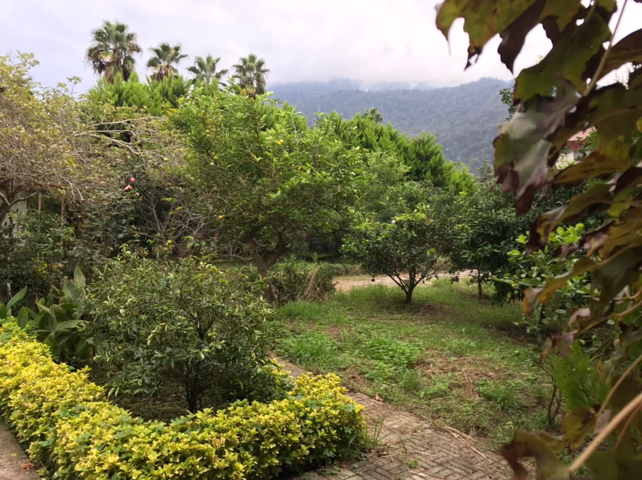 ویلای 1200 متری با لوکیشن برند