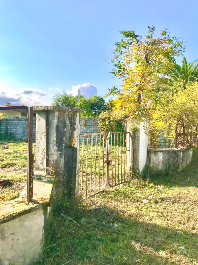 ۱۲۰۰ متر زمین جنگلی