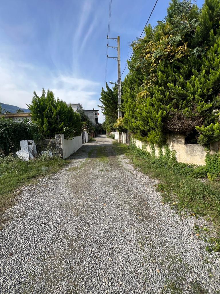 360 متر زمین جنگلی ملکار