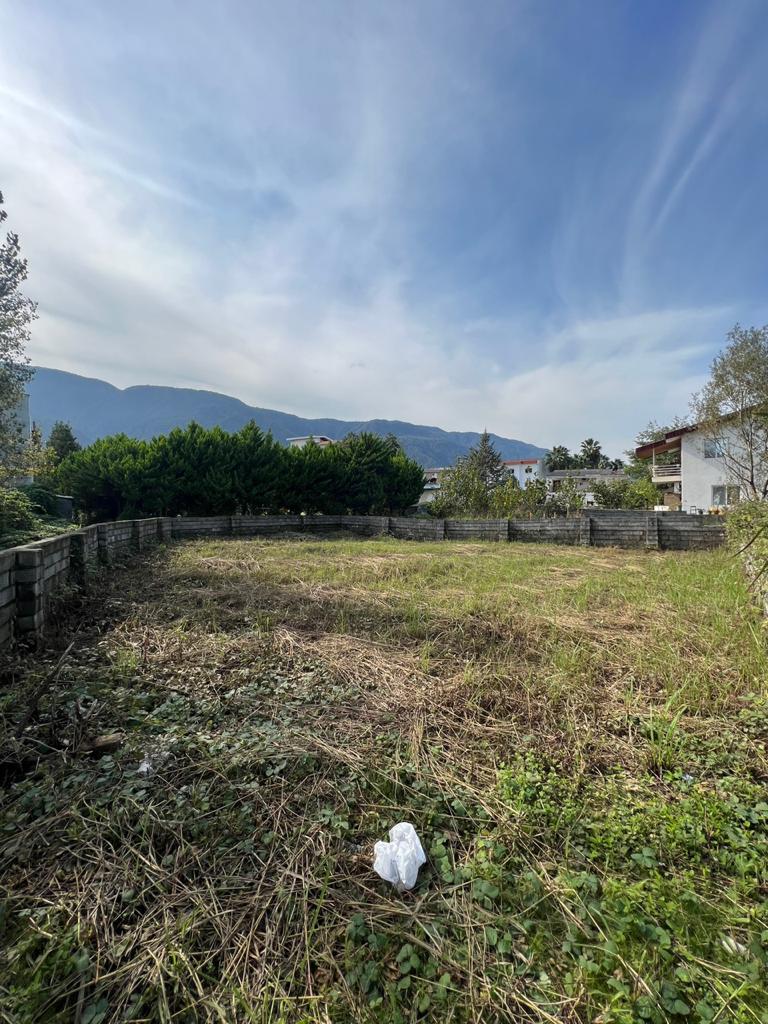 360 متر زمین جنگلی ملکار