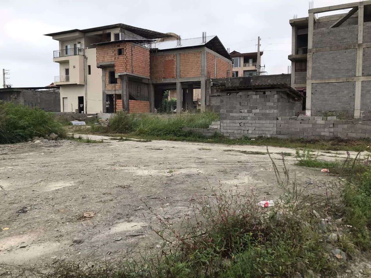 ۴۴۰ متر زمین جنگلی با لوکیشن عالی