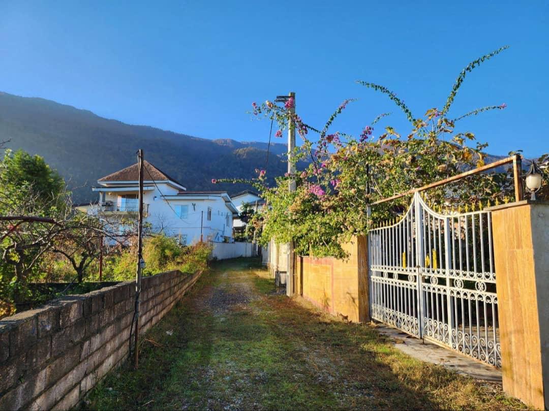 ۲۹۷ متر زمین جنگلی حمزه ده