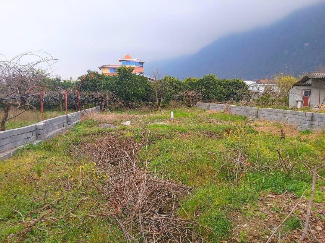 ۲۹۷ متر زمین جنگلی حمزه ده