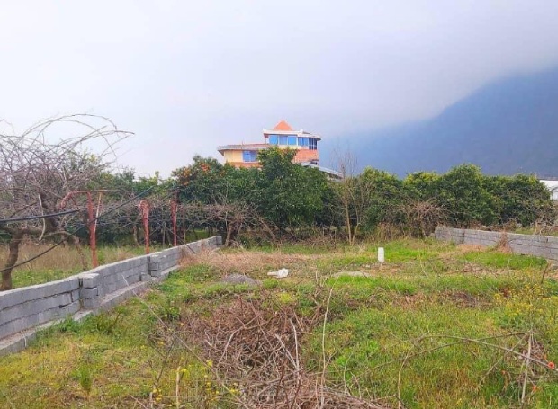 ۲۹۷ متر زمین جنگلی حمزه ده