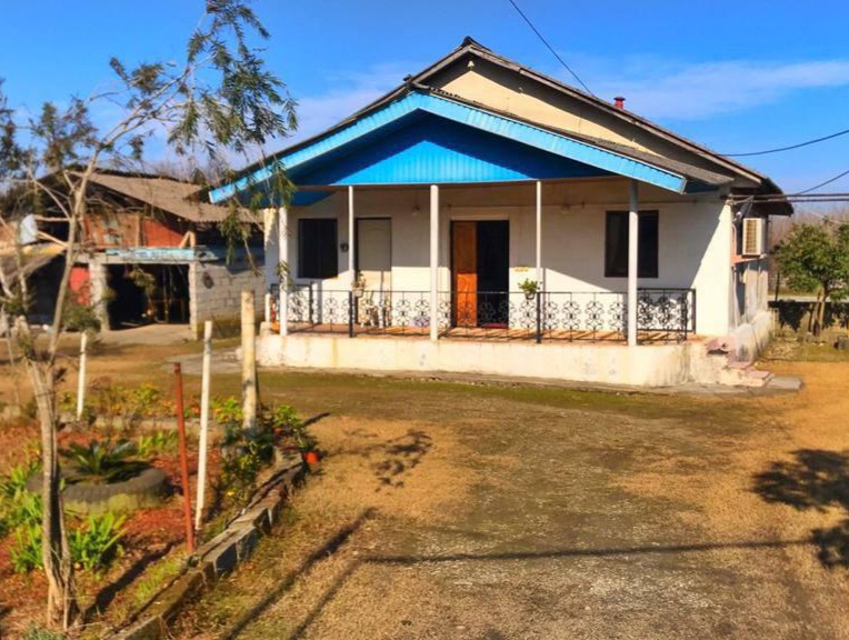 ۱۱۰۰  متر زمین جنگلی چلک 