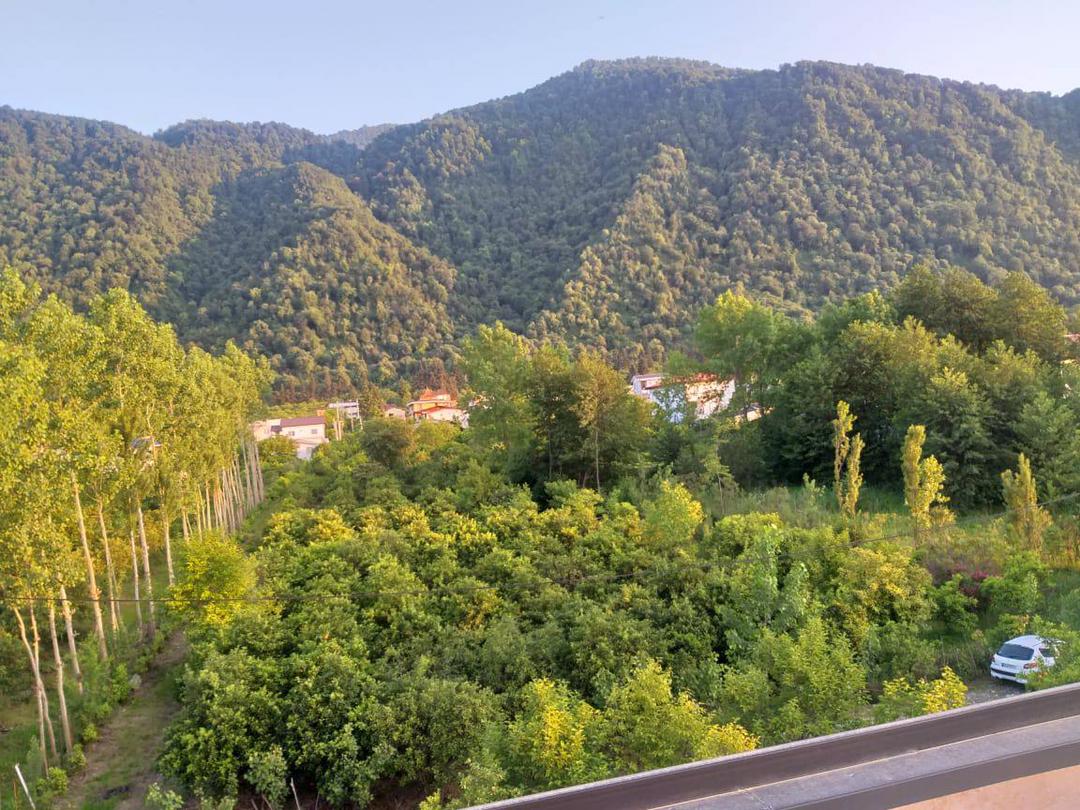 220 متر زمین جنگلی سنگسرا