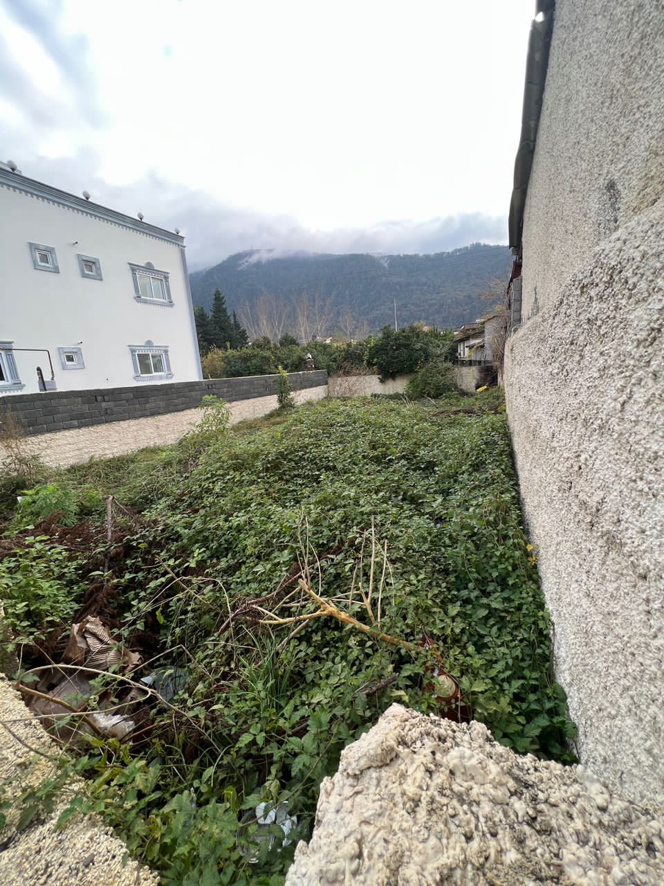 202 متر زمین جنگلی مزگاه