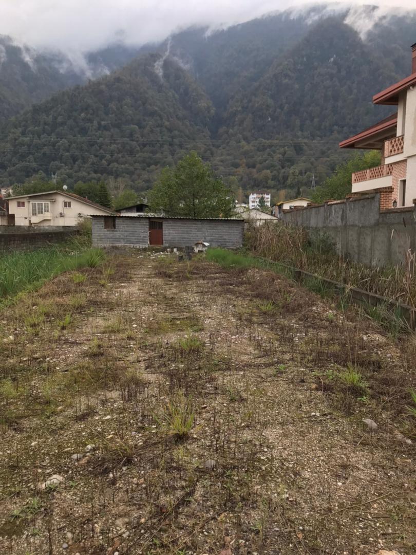  فروش فوری 500 متر زمین جنگلی چلک