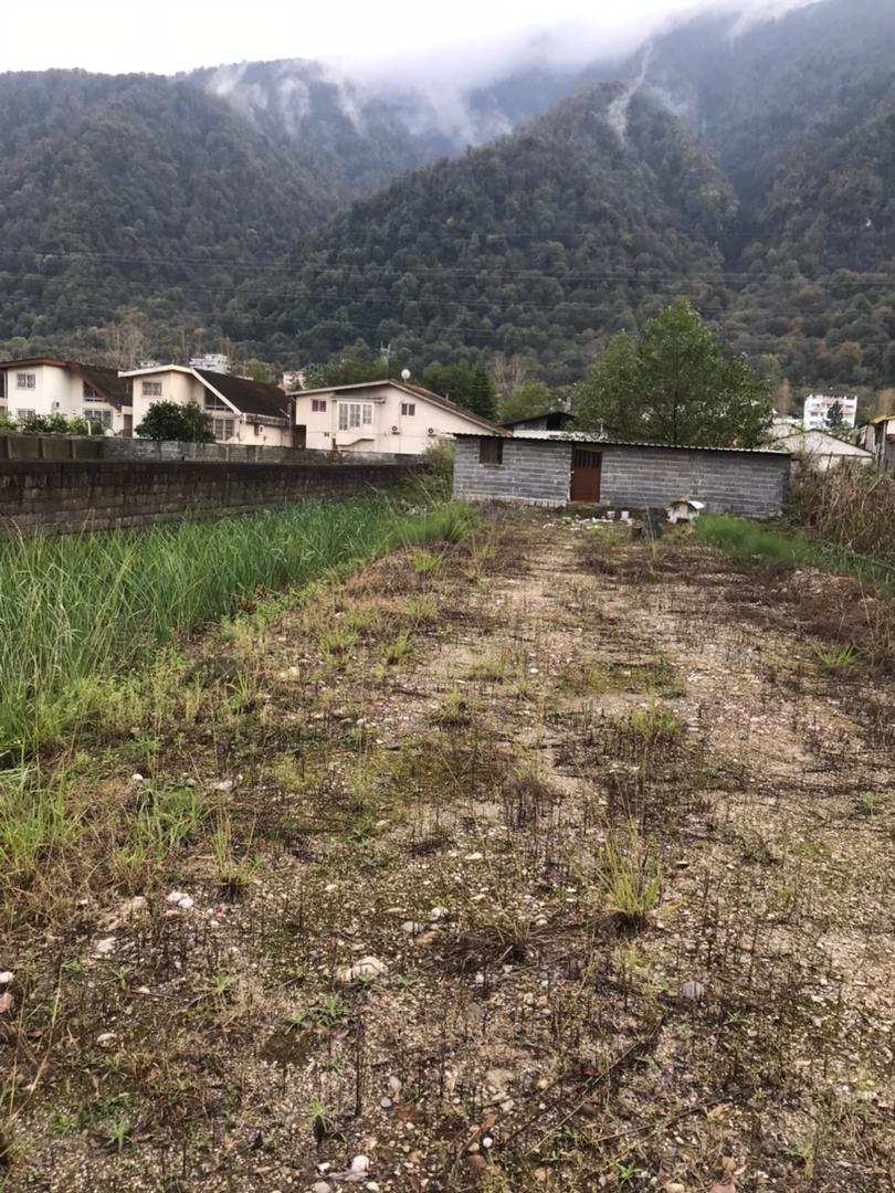  فروش فوری 500 متر زمین جنگلی چلک