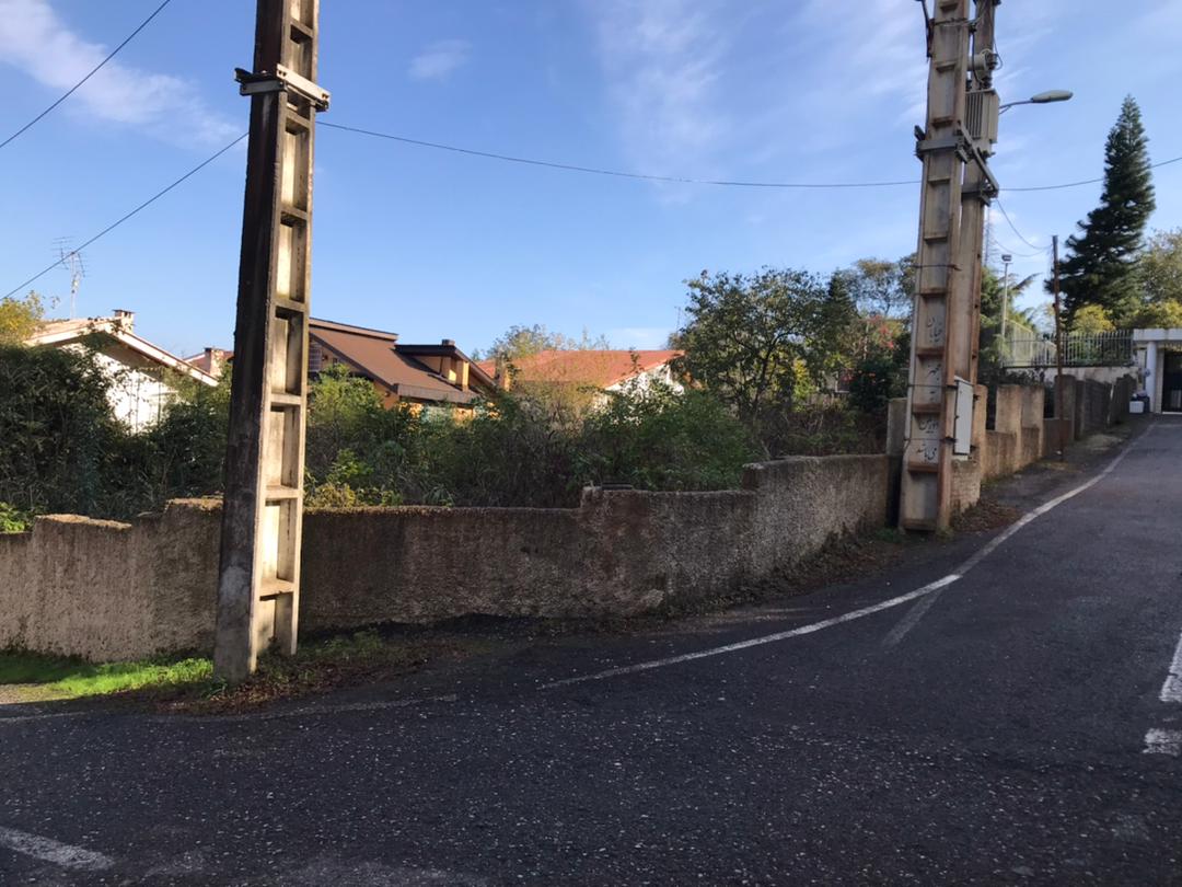 ۵۲۰ متر زمین جنگلی دوبر چلک