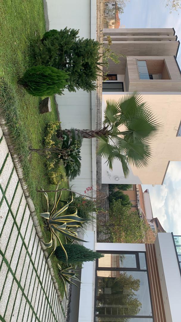 ویلای 300 متری جنگلی سیاهرود