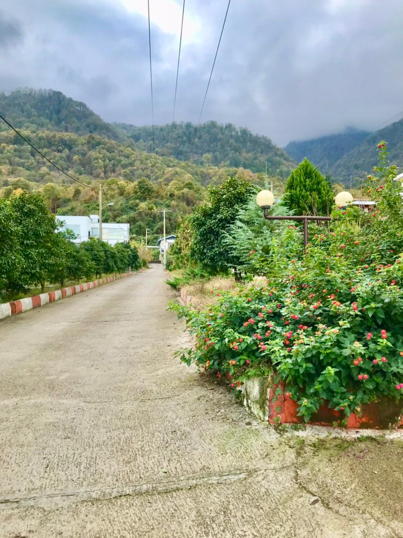   ۵۰۰  متر زمین جنگلی خوش قواره چلندر