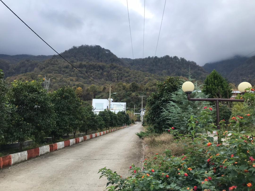   ۵۰۰  متر زمین جنگلی خوش قواره چلندر