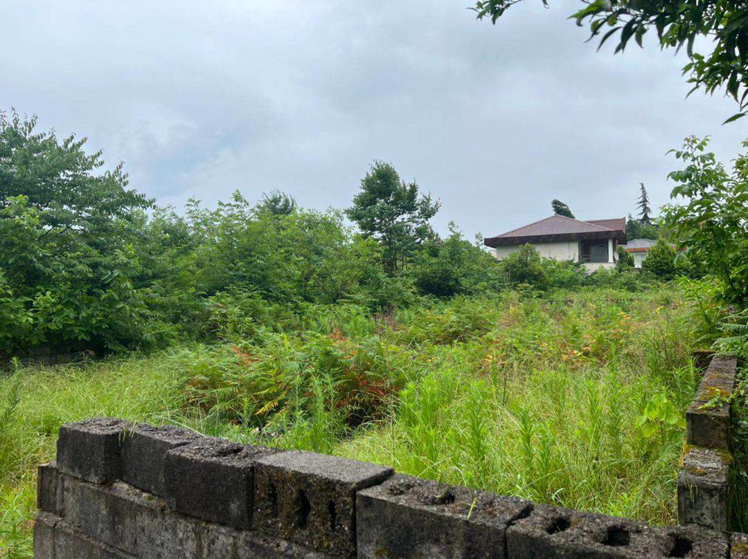  ۳۵۰ متر زمین جنگلی چلک