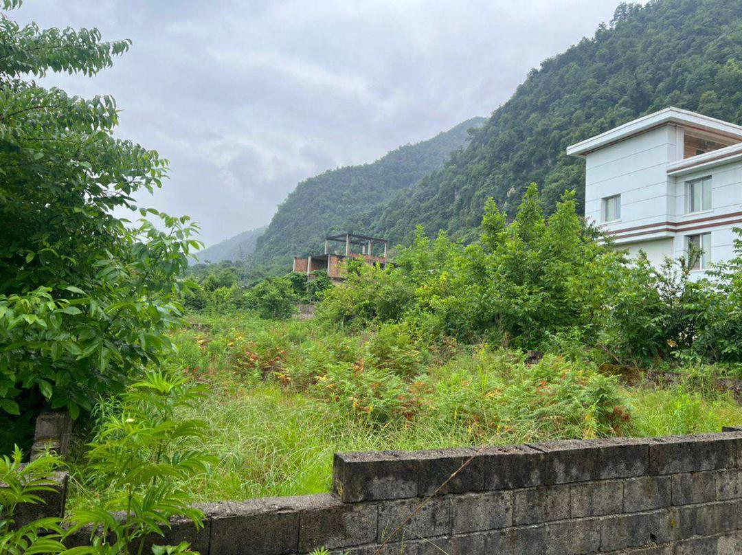  ۳۵۰ متر زمین جنگلی چلک