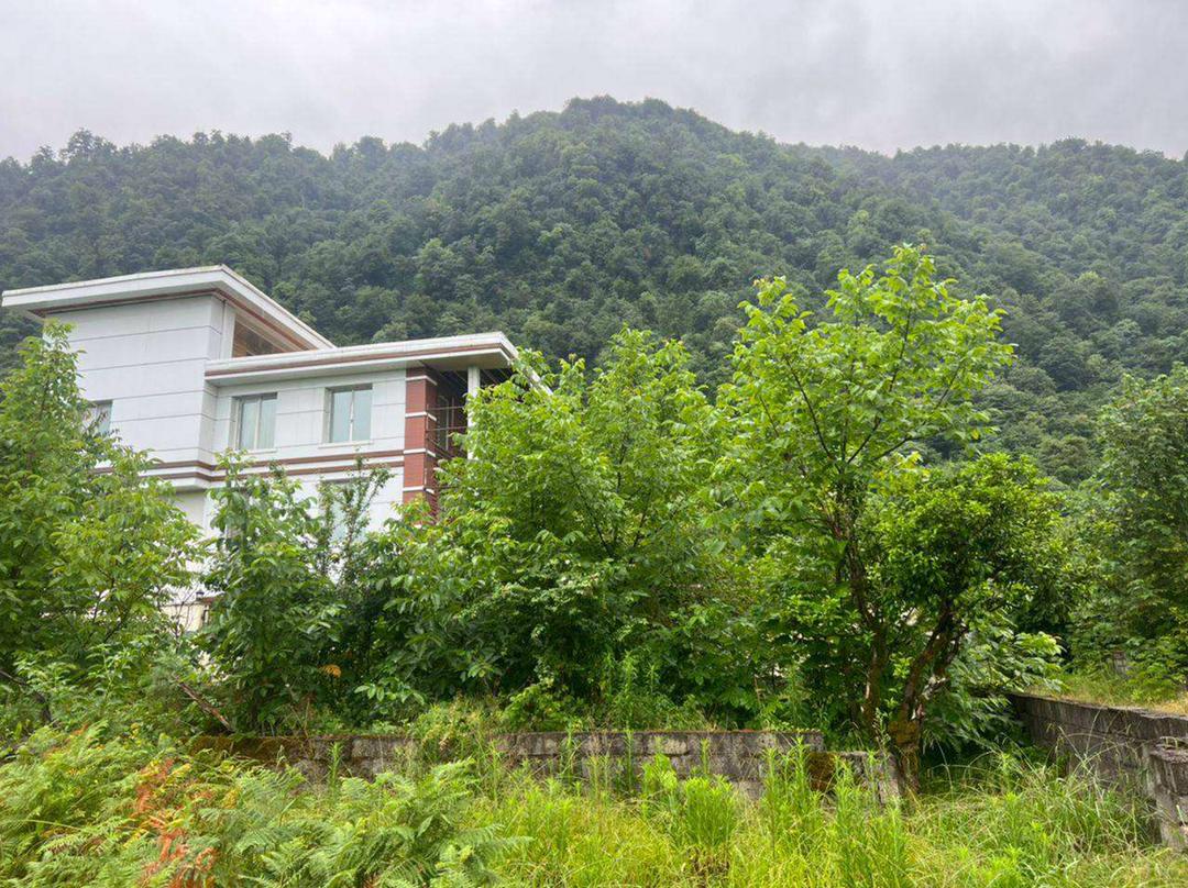  ۳۵۰ متر زمین جنگلی چلک