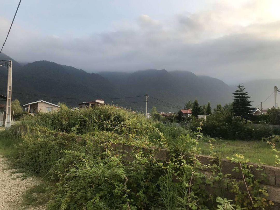  ۲۴۰ متر زمین جنگلی ملکار