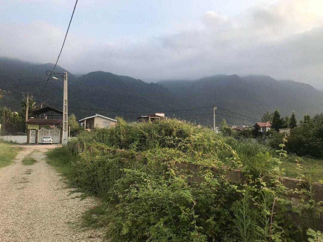  ۲۴۰ متر زمین جنگلی ملکار