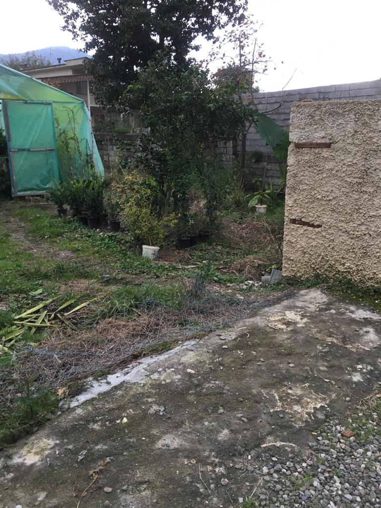  500 متر زمین جنگلی مسکونی