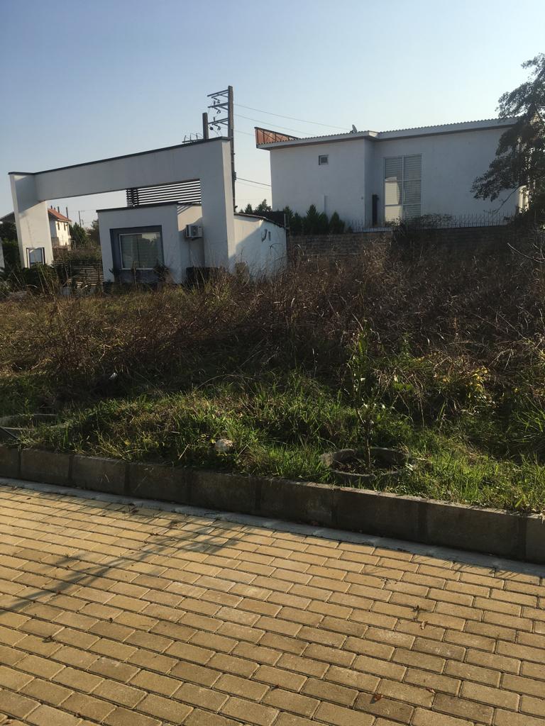  فروش زمین  ۶۷۵ متری جنگلی