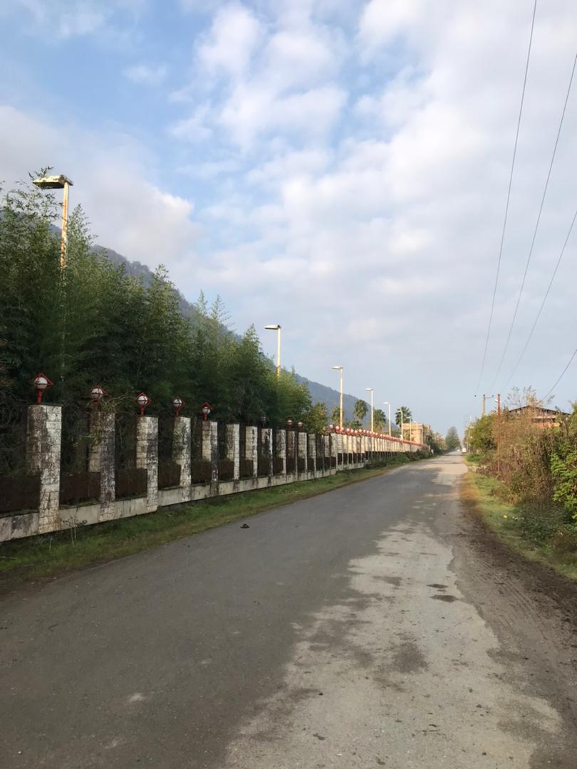 1200 متر زمین جنگلی چلک