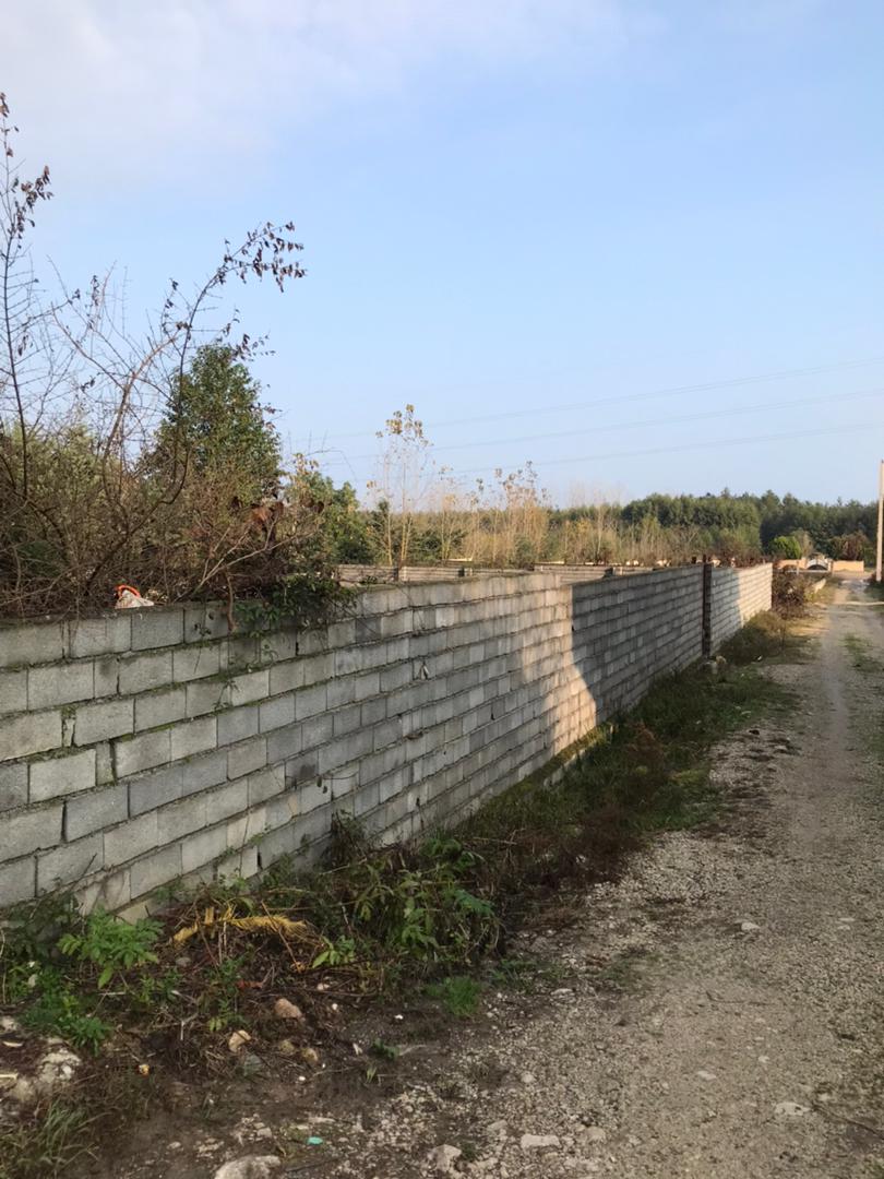 1200 متر زمین جنگلی چلک