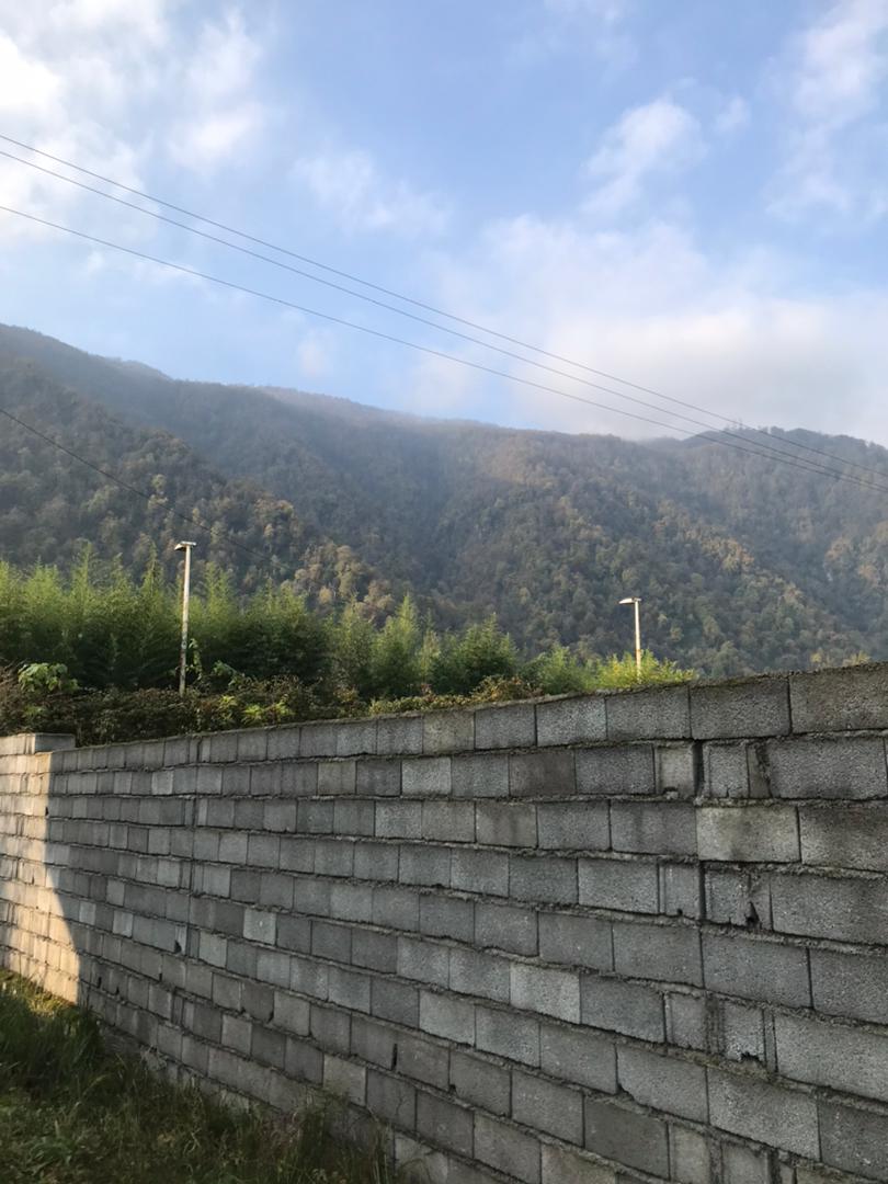 1200 متر زمین جنگلی چلک