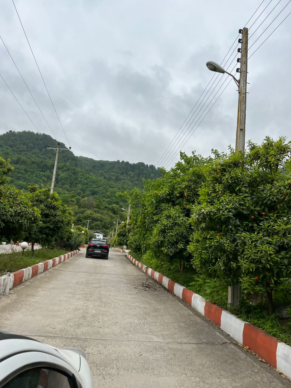  500 زمین خالص جنگلی چلندر