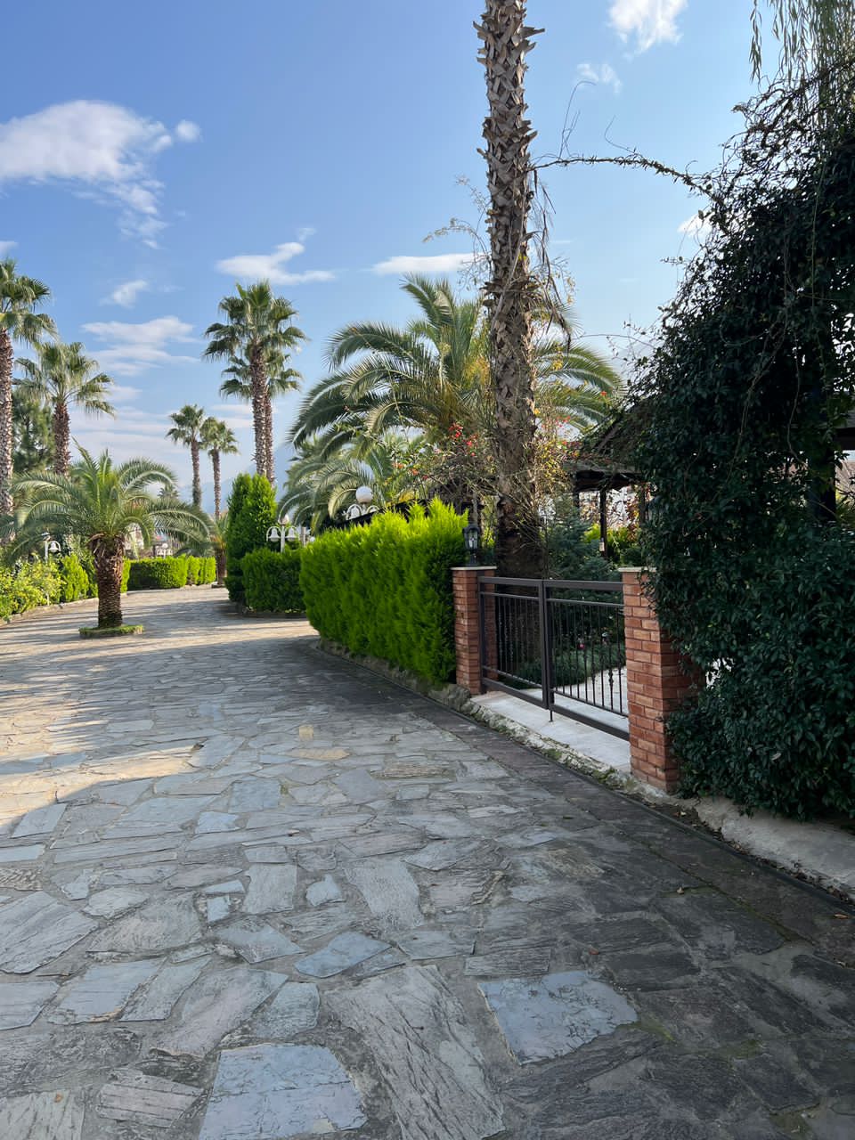  ۴۸۰ متر زمین شهرک برند