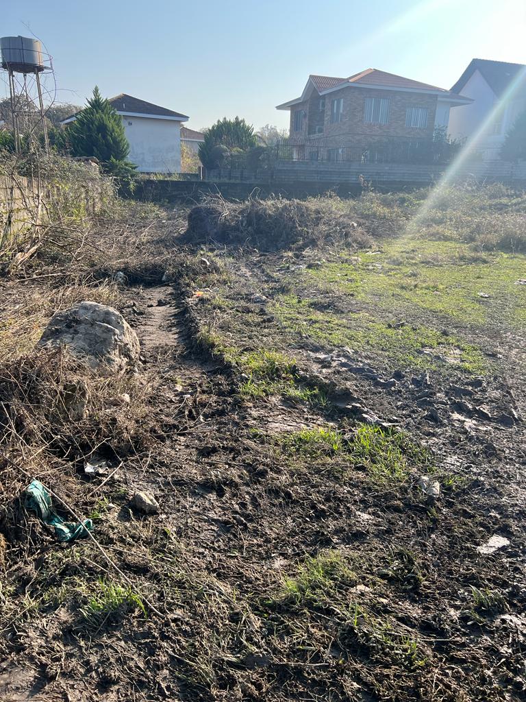 ۳۳۰ متر زمین جنگلی سیسنگان