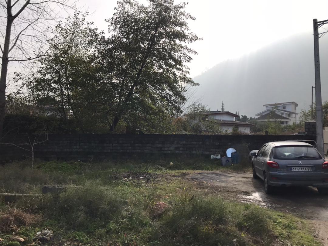  ۲۲۰ متر زمین جنگلی چلک