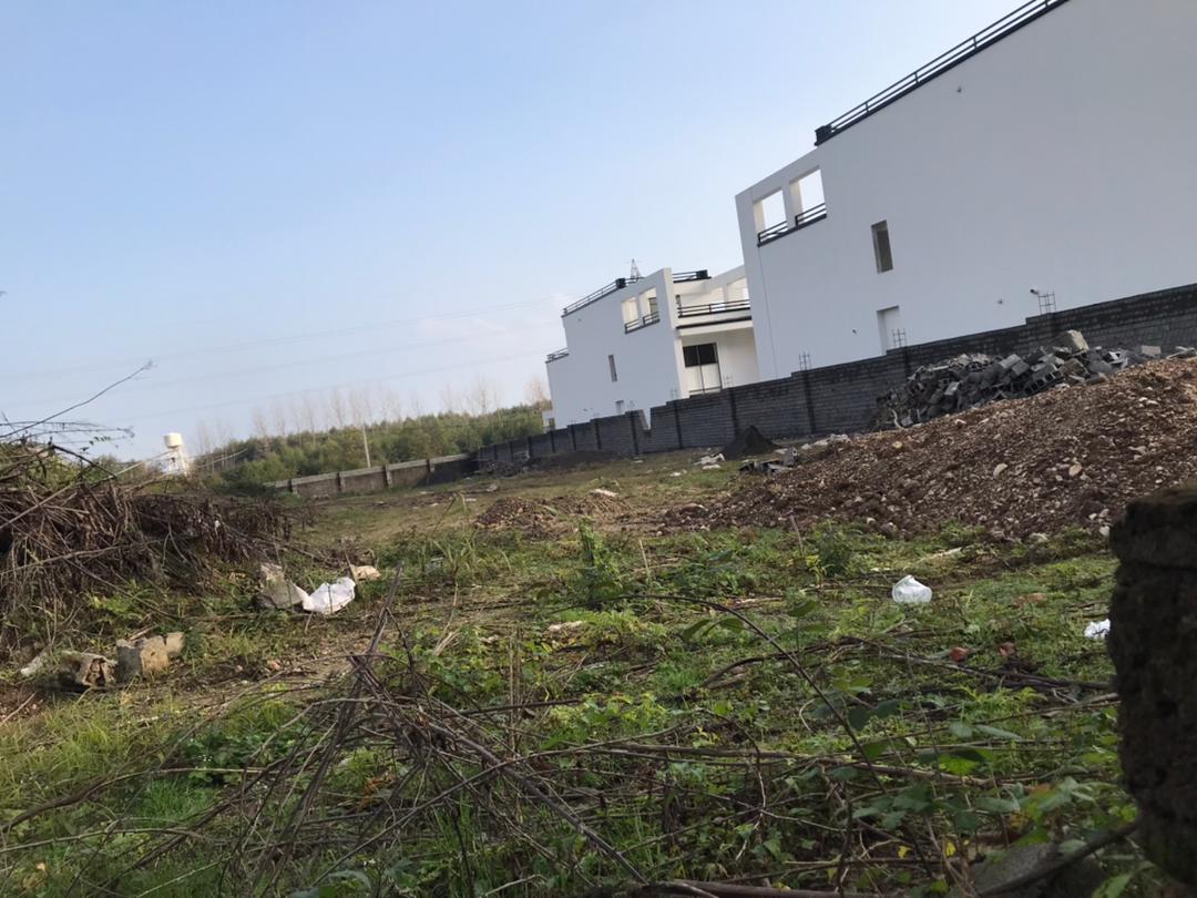  ۴۰۰۰ متر زمین جنگلی پلاک 2 چلک