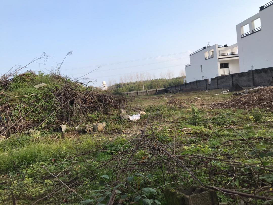  ۴۰۰۰ متر زمین جنگلی پلاک 2 چلک