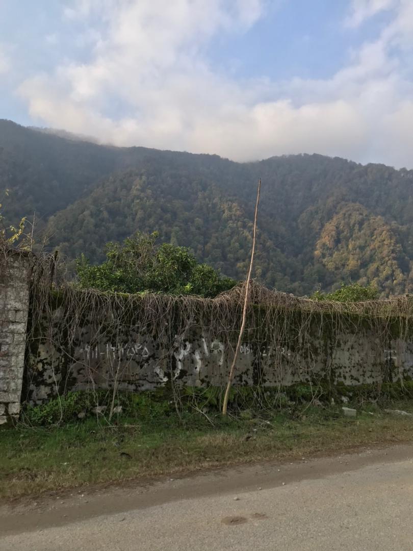  ۴۰۰۰ متر زمین جنگلی پلاک 2 چلک