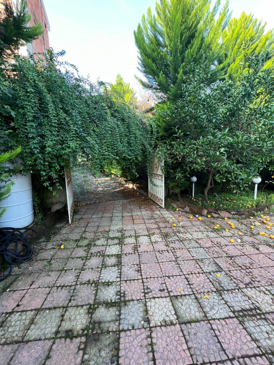 ویلا باغ 580 متری مارگیرده