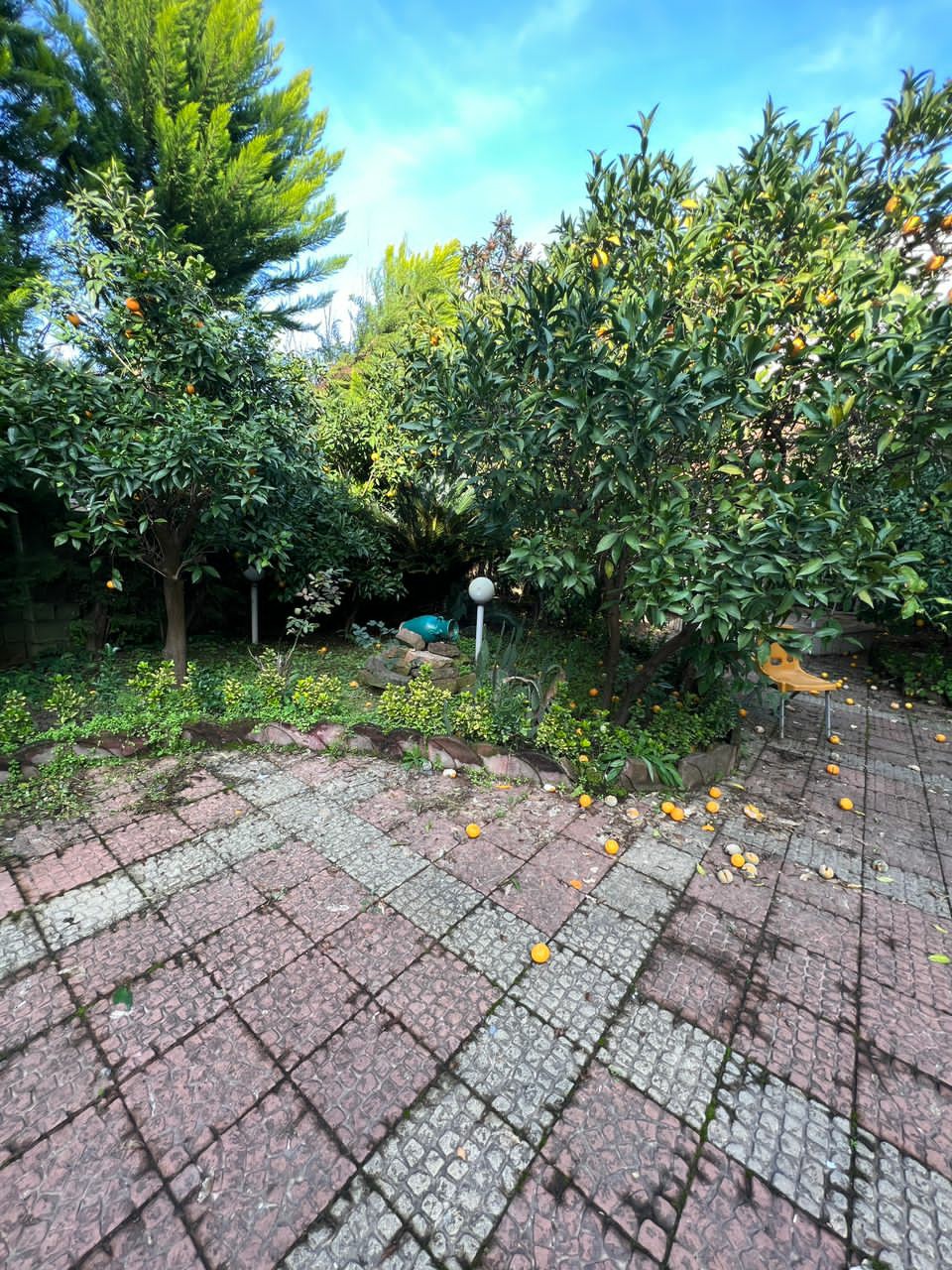 ویلا باغ 580 متری مارگیرده