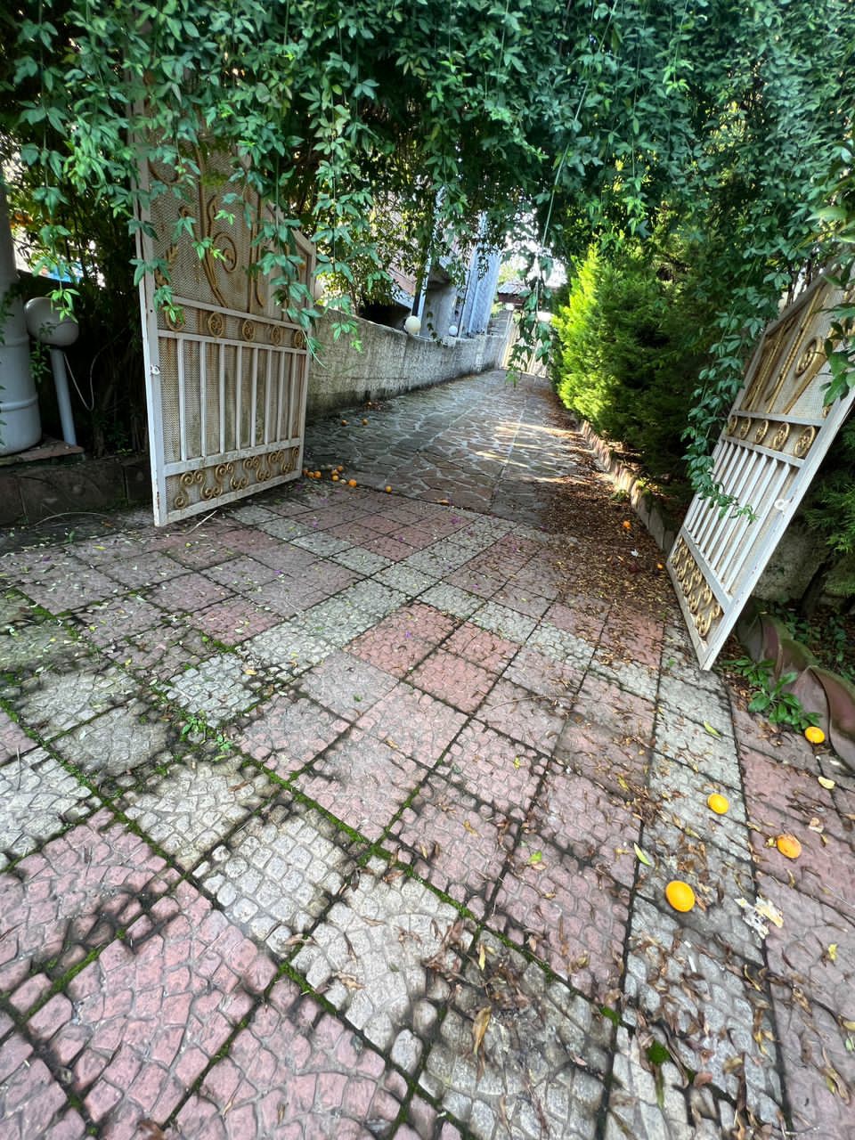 ویلا باغ 580 متری مارگیرده