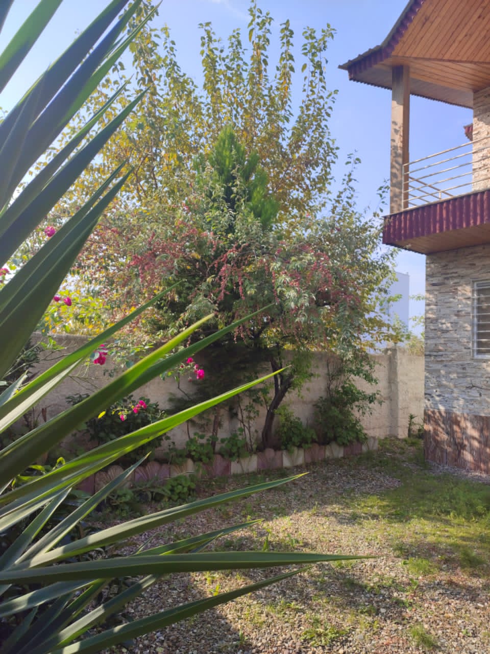 ویلای 210 متری لتینگان