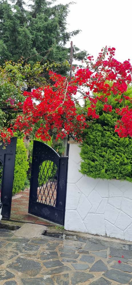 ویلا 301 متری شهرکی سیسنگان 