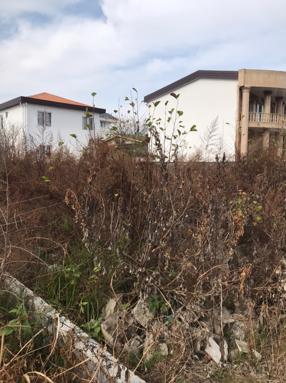 دو قواره زمین ۳۰۰ و ۲۵۰ متری سی دشت ملکار