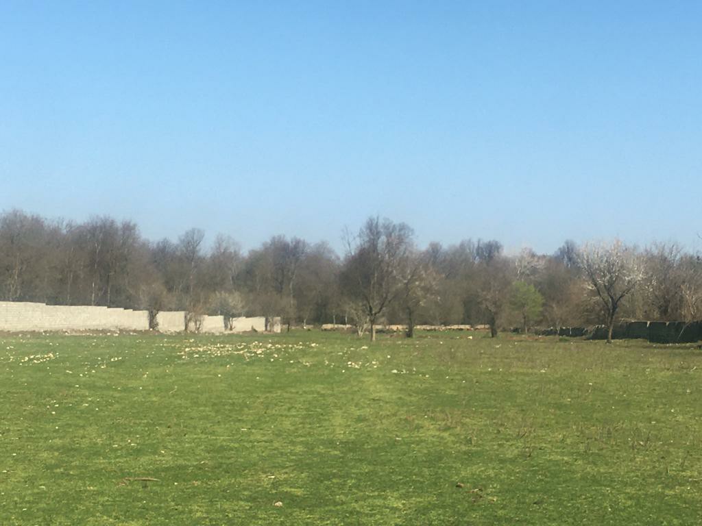 زمین مستقل 25000متری محدوده نور 